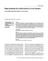 papel-protector-de-la-bilirrubina-en-el-ser-humano