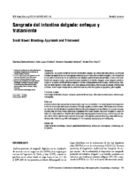 sangrado-del-intestino-delgado-enfoque-y-tratamiento
