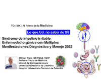 El sindrome de Intsetino Irraitable es una enfermedad orgánica 2022