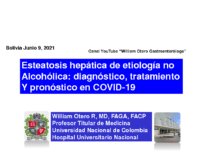 MAFLD 2021 Bolivia corta pdf